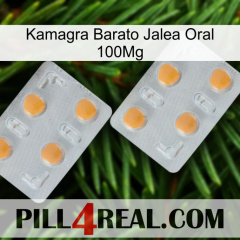 Cheap Kamagra Oral Jelly 100Mg 25